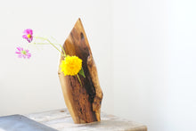 Load image into Gallery viewer, Worm wood walnut Ikebana Vase
