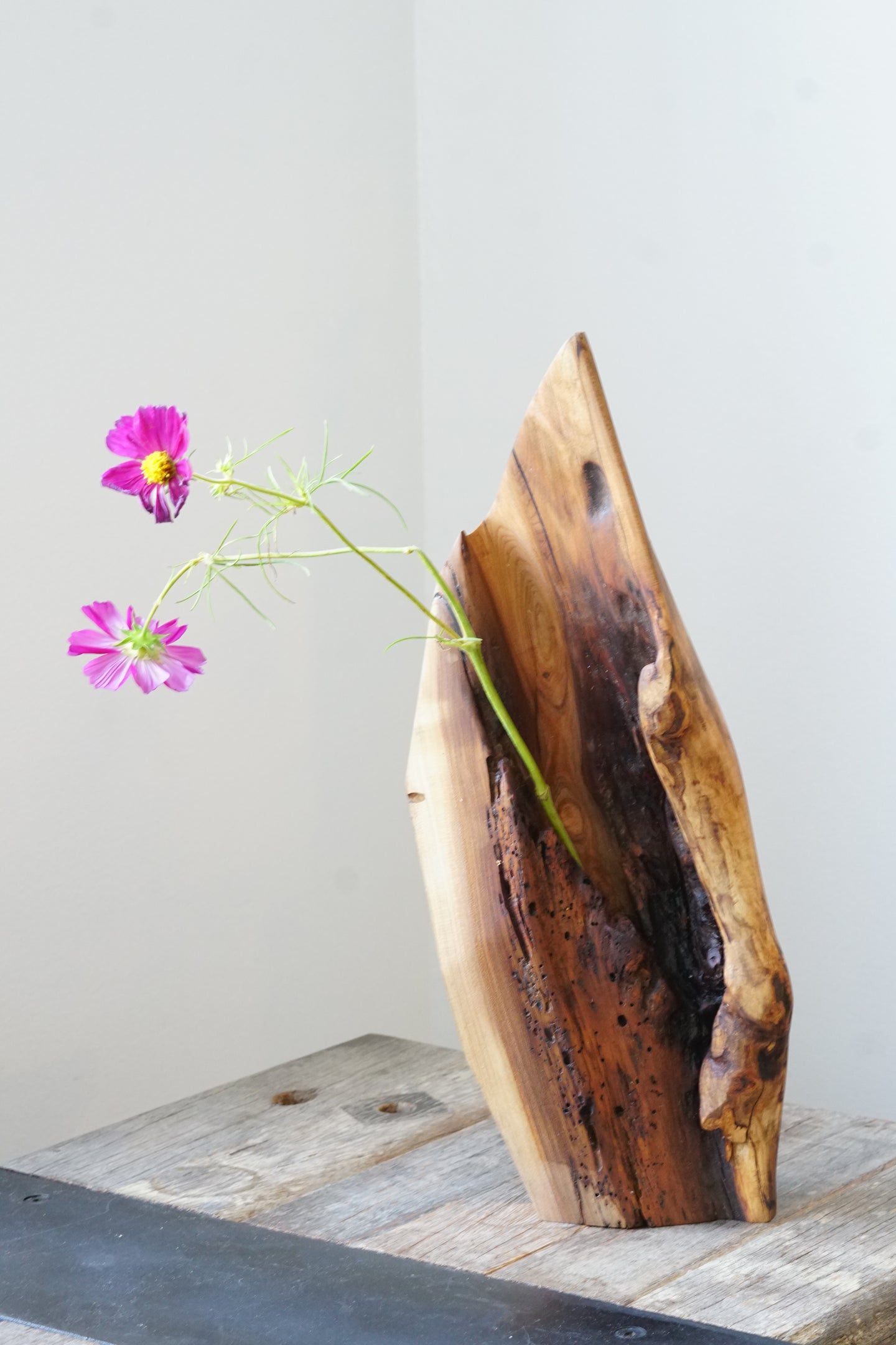 Worm wood walnut Ikebana Vase